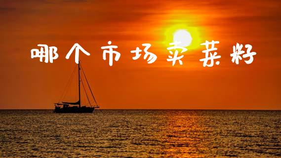 哪个市场卖菜籽_https://wap.yjjixie.cn_证券市场_第1张
