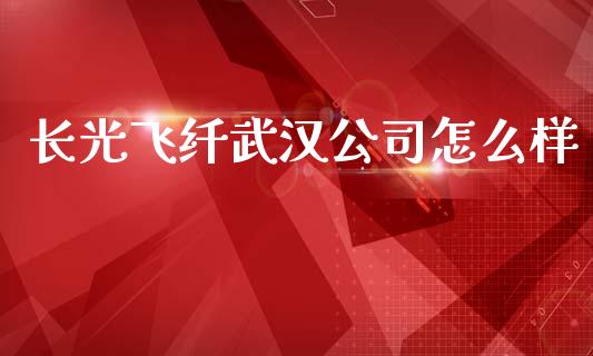 长光飞纤武汉公司怎么样_https://wap.yjjixie.cn_证券市场_第1张