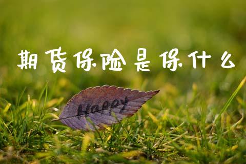 期货保险是保什么_https://wap.yjjixie.cn_证券市场_第1张