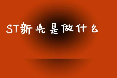 ST新光是做什么_https://wap.yjjixie.cn_保险理财_第1张