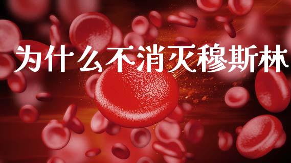 为什么不消灭穆斯林_https://wap.yjjixie.cn_港股行情_第1张