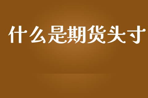 什么是期货头寸_https://wap.yjjixie.cn_证券市场_第1张