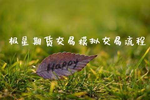 极星期货交易模拟交易流程_https://wap.yjjixie.cn_港股行情_第1张