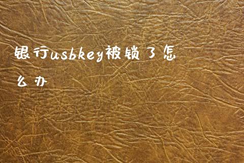 银行usbkey被锁了怎么办_https://wap.yjjixie.cn_保险理财_第1张