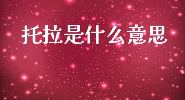 托拉是什么意思_https://wap.yjjixie.cn_商业资讯_第1张