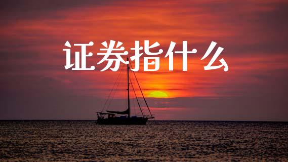 证券指什么_https://wap.yjjixie.cn_保险理财_第1张