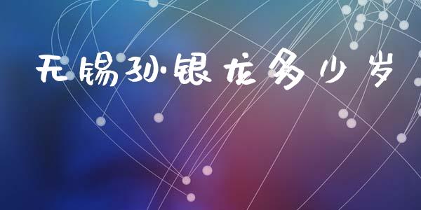 无锡孙银龙多少岁_https://wap.yjjixie.cn_证券市场_第1张