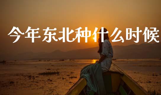 今年东北种什么时候_https://wap.yjjixie.cn_保险理财_第1张