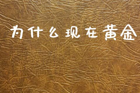 为什么现在黄金_https://wap.yjjixie.cn_港股行情_第1张