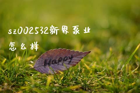 sz002532新界泵业怎么样_https://wap.yjjixie.cn_保险理财_第1张