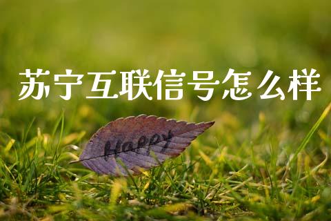 苏宁互联信号怎么样_https://wap.yjjixie.cn_证券市场_第1张