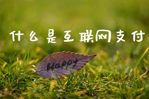 什么是互联网支付_https://wap.yjjixie.cn_港股行情_第1张