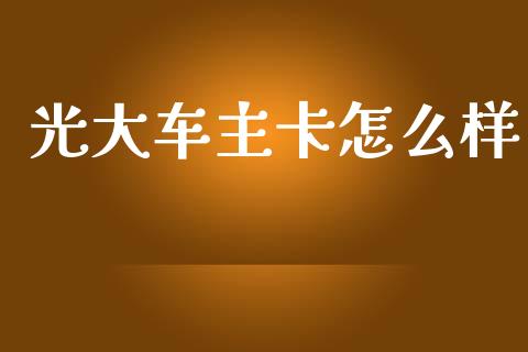 光大车主卡怎么样_https://wap.yjjixie.cn_保险理财_第1张