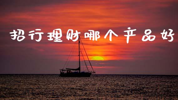 招行理财哪个产品好_https://wap.yjjixie.cn_证券市场_第1张