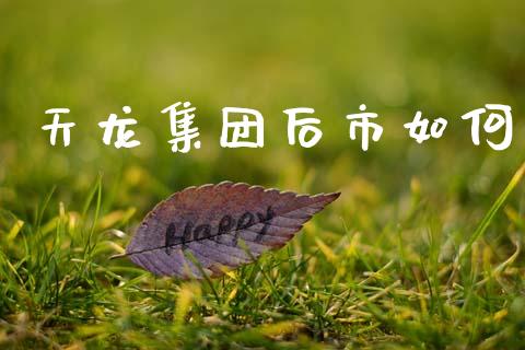 天龙集团后市如何_https://wap.yjjixie.cn_证券市场_第1张