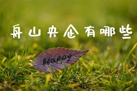 舟山央企有哪些_https://wap.yjjixie.cn_保险理财_第1张