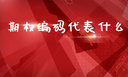 期权编码代表什么_https://wap.yjjixie.cn_证券市场_第1张