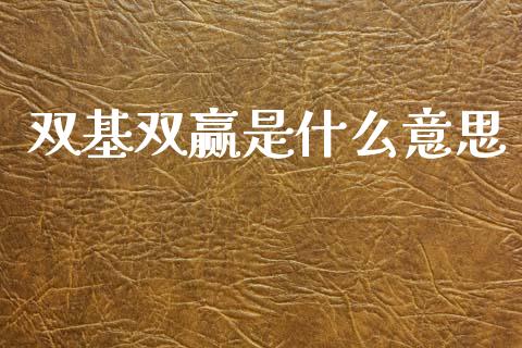 双基双赢是什么意思_https://wap.yjjixie.cn_保险理财_第1张