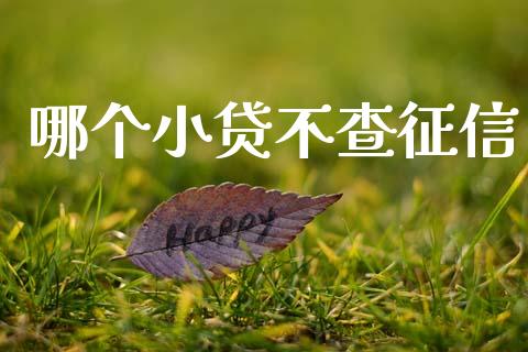 哪个小贷不查征信_https://wap.yjjixie.cn_保险理财_第1张