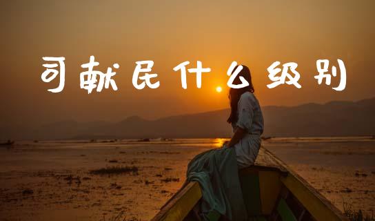 司献民什么级别_https://wap.yjjixie.cn_商业资讯_第1张