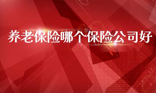 养老保险哪个保险公司好_https://wap.yjjixie.cn_保险理财_第1张