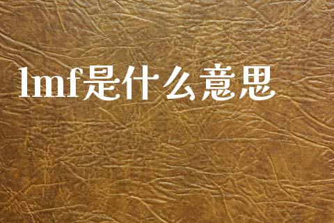lmf是什么意思_https://wap.yjjixie.cn_商业资讯_第1张