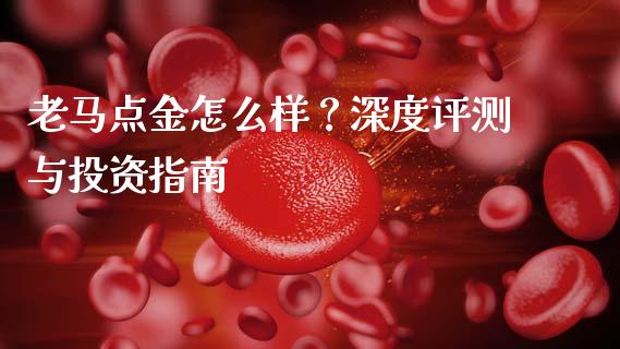 老马点金怎么样？深度评测与投资指南_https://wap.yjjixie.cn_商业资讯_第1张