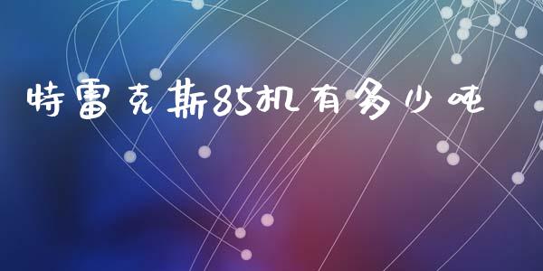 特雷克斯85机有多少吨_https://wap.yjjixie.cn_商业资讯_第1张