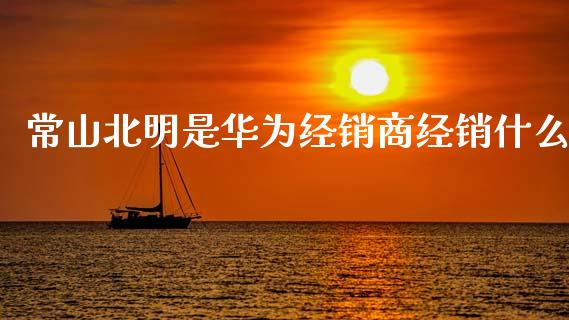 常山北明是华为经销商经销什么_https://wap.yjjixie.cn_商业资讯_第1张