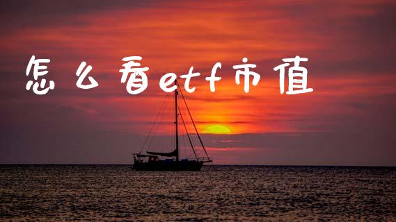 怎么看etf市值_https://wap.yjjixie.cn_商业资讯_第1张