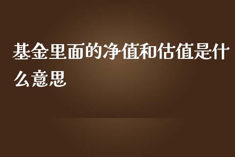 基金里面的净值和估值是什么意思_https://wap.yjjixie.cn_保险理财_第1张