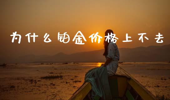 为什么铂金价格上不去_https://wap.yjjixie.cn_商业资讯_第1张