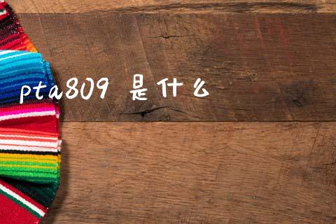 pta809 是什么_https://wap.yjjixie.cn_商业资讯_第1张