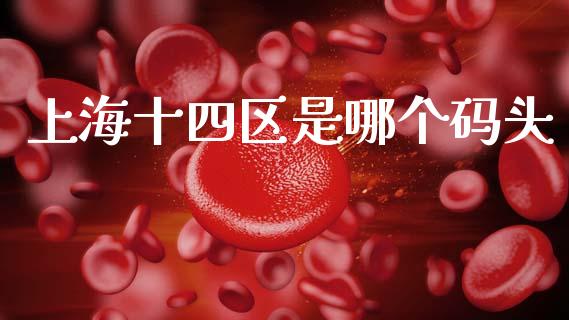 上海十四区是哪个码头_https://wap.yjjixie.cn_港股行情_第1张