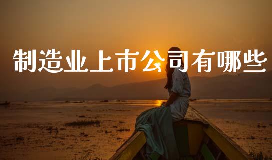制造业上市公司有哪些_https://wap.yjjixie.cn_证券市场_第1张