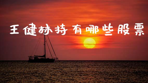 王健林持有哪些股票_https://wap.yjjixie.cn_商业资讯_第1张