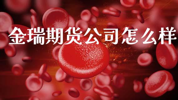 金瑞期货公司怎么样_https://wap.yjjixie.cn_港股行情_第1张