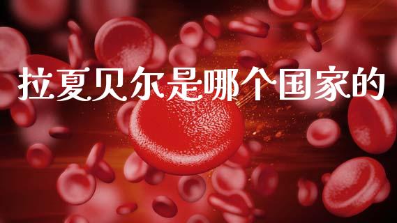 拉夏贝尔是哪个国家的_https://wap.yjjixie.cn_证券市场_第1张