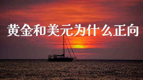 黄金和美元为什么正向_https://wap.yjjixie.cn_商业资讯_第1张