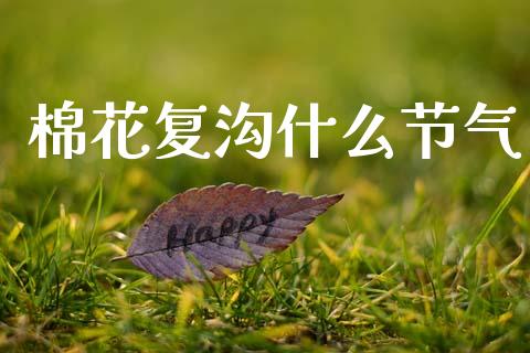 棉花复沟什么节气_https://wap.yjjixie.cn_证券市场_第1张