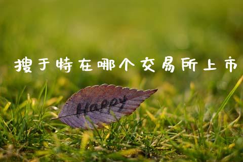搜于特在哪个交易所上市_https://wap.yjjixie.cn_港股行情_第1张