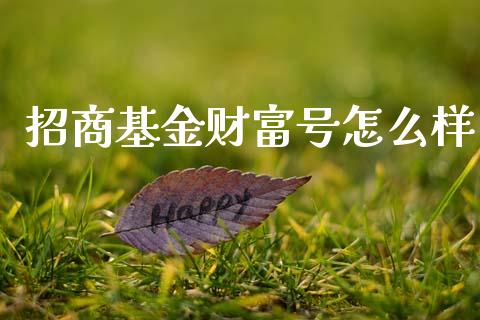 招商基金财富号怎么样_https://wap.yjjixie.cn_商业资讯_第1张
