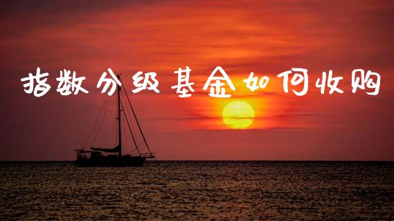 指数分级基金如何收购_https://wap.yjjixie.cn_港股行情_第1张