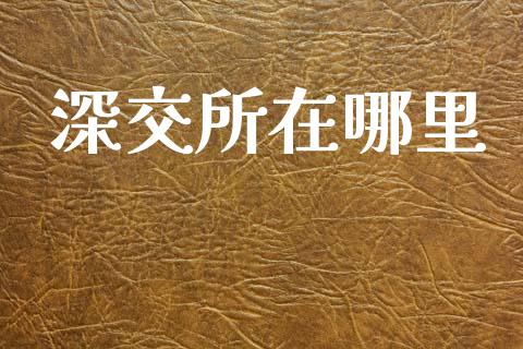 深交所在哪里_https://wap.yjjixie.cn_商业资讯_第1张