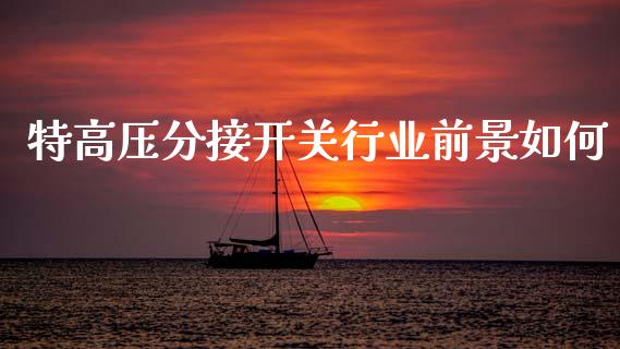 特高压分接开关行业前景如何_https://wap.yjjixie.cn_证券市场_第1张