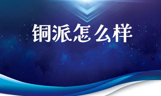 铜派怎么样_https://wap.yjjixie.cn_保险理财_第1张