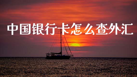 中国银行卡怎么查外汇_https://wap.yjjixie.cn_港股行情_第1张