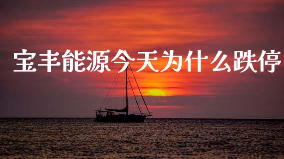 宝丰能源今天为什么跌停_https://wap.yjjixie.cn_证券市场_第1张