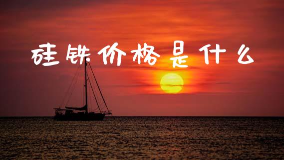 硅铁价格是什么_https://wap.yjjixie.cn_商业资讯_第1张
