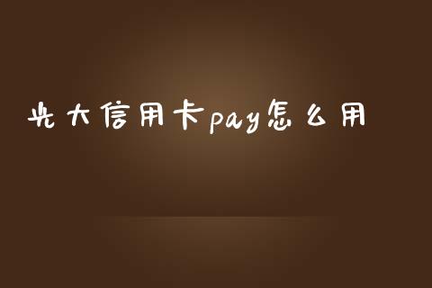 光大信用卡pay怎么用_https://wap.yjjixie.cn_证券市场_第1张